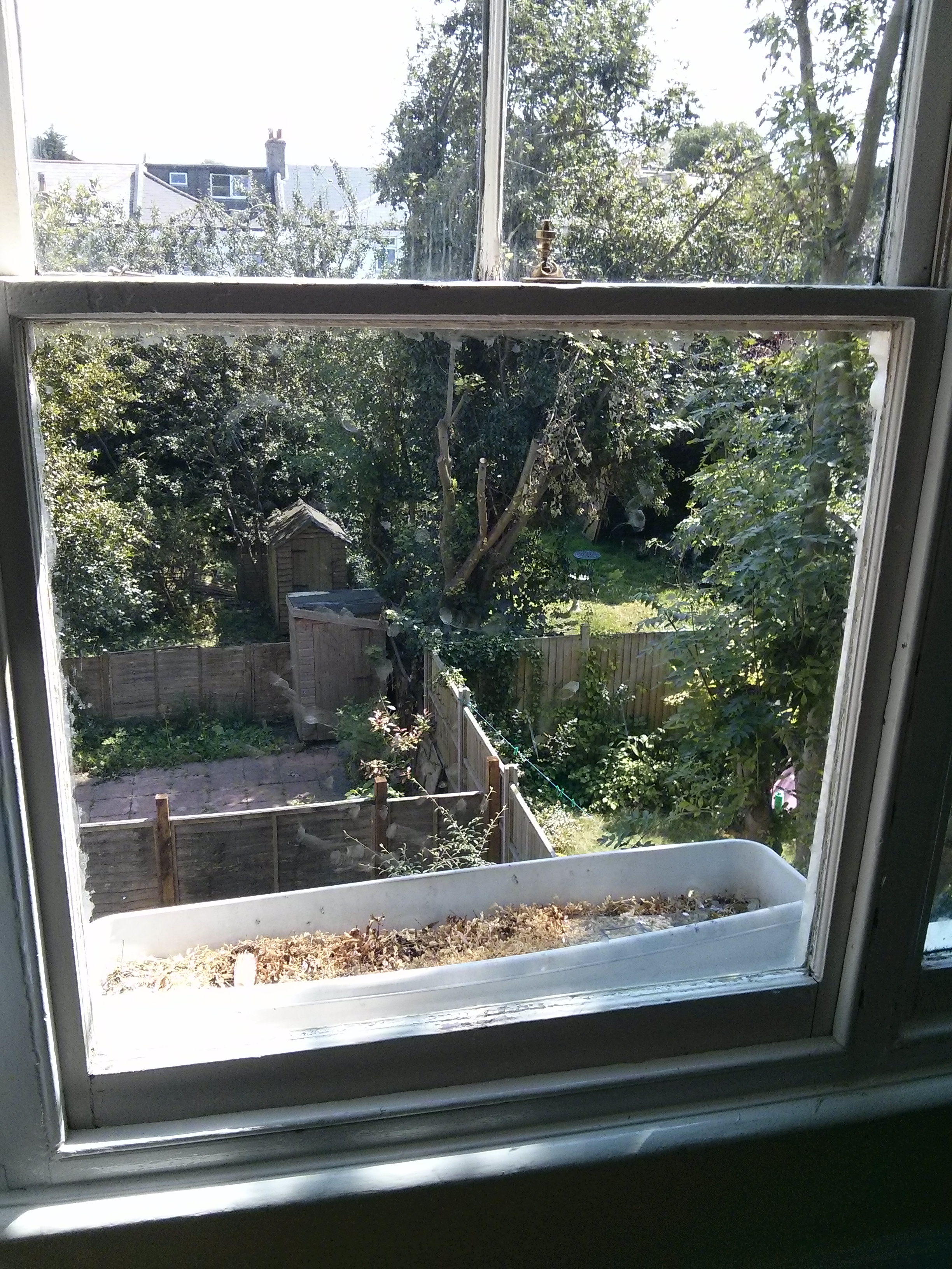 Window Glass Replacement Addiscombe CR0